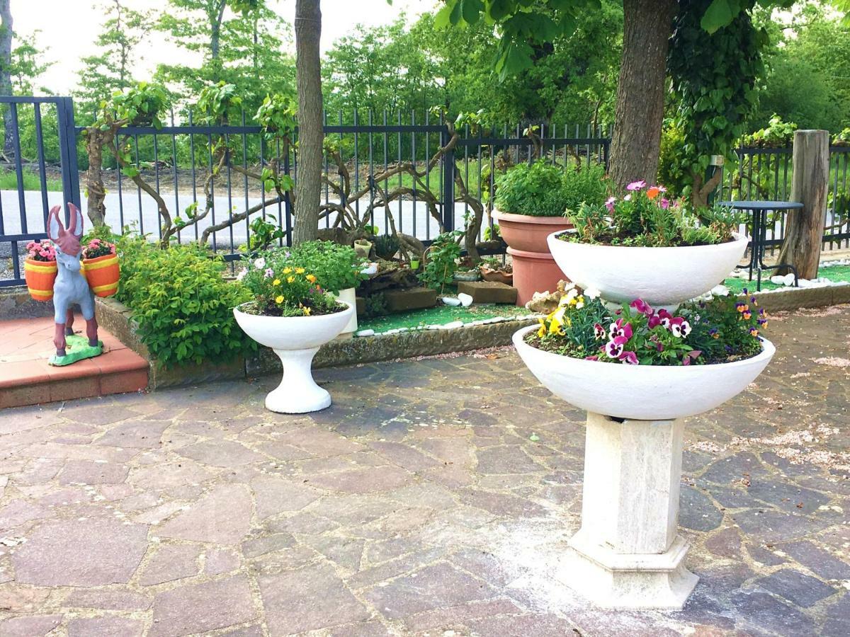 Casa Fabbrichina Apartment Gambassi Terme Ngoại thất bức ảnh